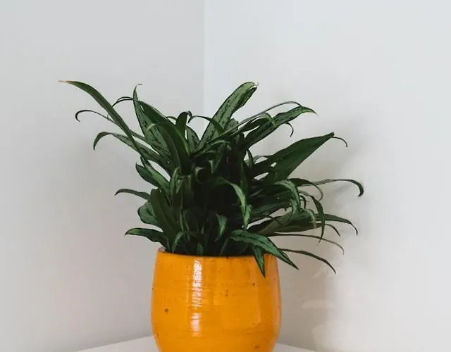 Fluisterbos Met Gratis Parking